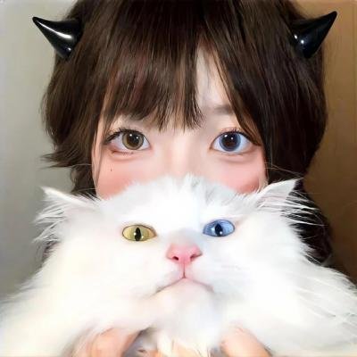 杀妻案